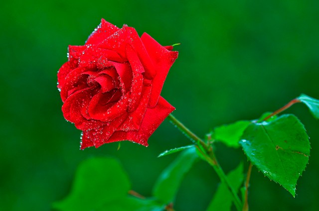 The Fullness there is in Christ - J. R. Miller