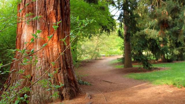 Accomplishing His Purposes - John Newton