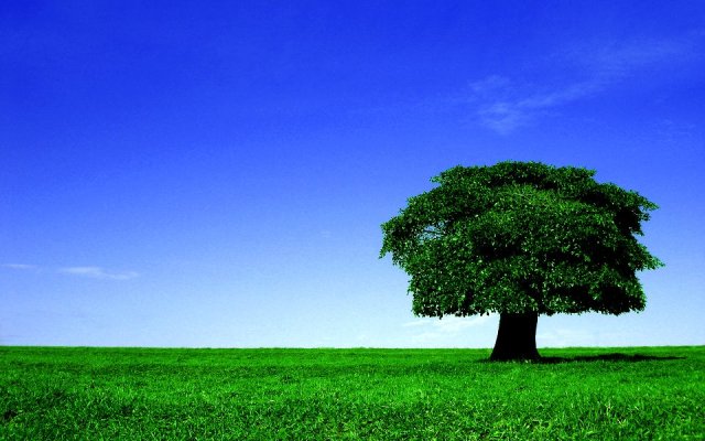 Without holiness, no man shall see the Lord - C. H. Spurgeon