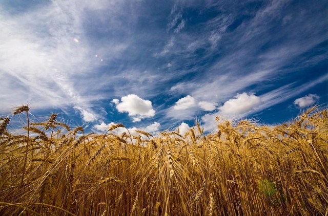 He pours out Blessings - J. R. Miller: In Green Pastures