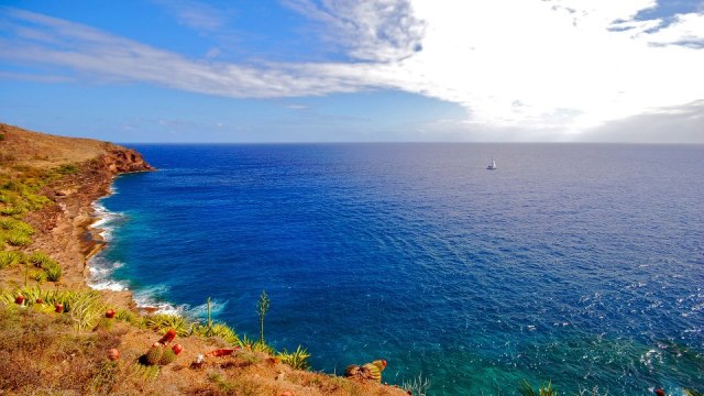 God does All, and we do All - Jonathan Edwards