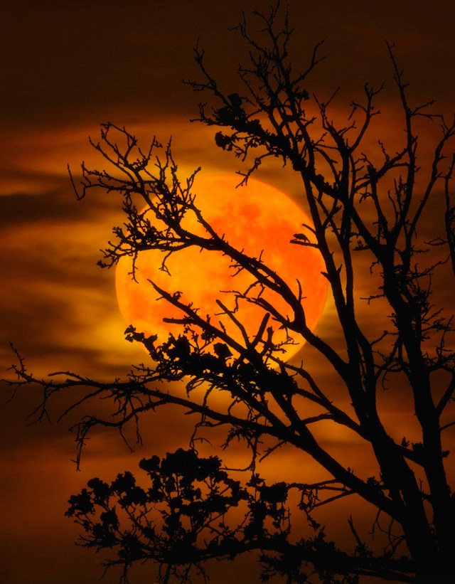 Troubled Soul - A.W. Pink