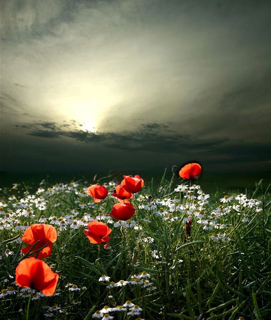 The very Food of Faith - George Muller